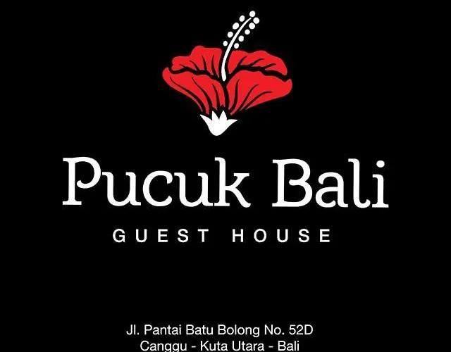 Pucuk Bali